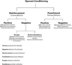 Diagram Of Operant Conditioning Operant Conditioning