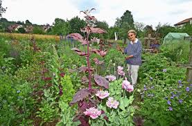 Im garten sollte komplett auf kunstdünger oder eine chemische schädlingsbekämpfung verzichtet. Tipps Fur Einen Okologischen Garten Gartnern Ganz Ohne Gift Esslingen Esslinger Zeitung