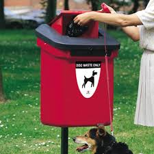 Image result for confused dog and lamppost