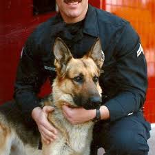 ADAM BERCOVICI-TITAN NATIONAL INVESTIGATIONS CA 188557