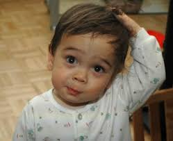 The Obligate Scientist: A request: I need your comments!