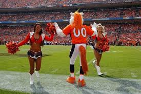 How Much Do Nfl Cheerleaders Get Paid