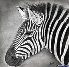 Add the eyebrows and a curved line across the face for its smiling mouth. How To Draw A Zebra Draw A Realistic Zebra Step By Step Safari Animals Animals Free Online Drawing Tu Zebra Drawing Realistic Drawings How To Draw A Zebra
