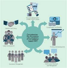 components of competency based management talent