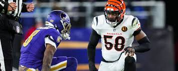 Image result for Hubbardochloa