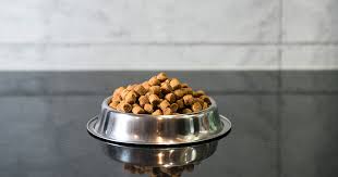 More style dog bowl anti choke dog feeding food bowls puppy slow eating dog bowls feeder dish pet bowl pet supplies. Why Is My Pet Off Their Food Pdsa