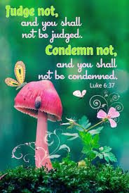 Visit the bible online to search for words if you don't know the specific passage your're looking for. 41 Golden Rule Ideas Quotes Golden Rule Sayings