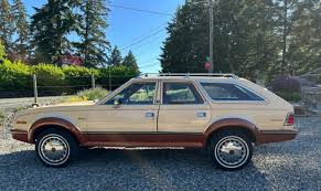 Image result for Florentine Gold 1985 AMC