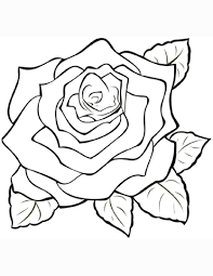 Disegno Di Rosa Da Colorare Disegni Da Colorare E Stampare Gratis