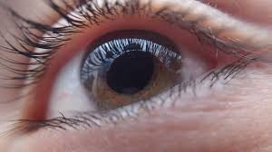 You'll probably have another ophthalmologist appointment around that time. How Long Does It Take For Your Vision To Clear Up After Cataract Surgery Drs Campbell Cunningham Taylor And Haun