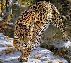 Pinterest For Business Marketing Expert Uk Specialist In 2020 Jaguar Animal Big Cats Wild Cats
