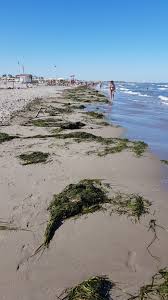 Dove è massima l'attenzione anche sul dossier green pass. Chioggia Sottomarina Klein Venedig Im Familienurlaub