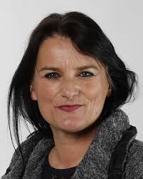 Eine Meinungserfassung