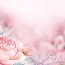Find over 100+ of the best free pink flower images. Pink Flower Background Photos Vectors And Psd Files For Free Download Pngtree