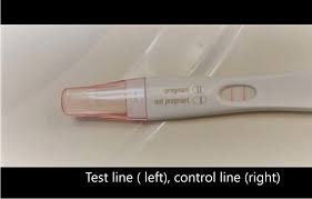 pregnancy test wikipedia