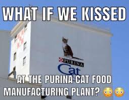 What If We Kissed Memes