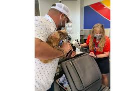 Craziest Things Anyone Ever Tried To Sneak Onto An Airplane