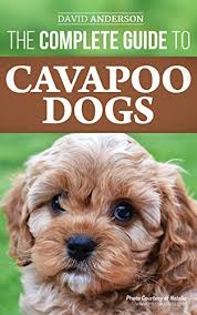 Check spelling or type a new query. The Complete Guide To Cavapoo Dogs Everything You Need To Know To Successfully Raise And Train Your New Cavapoo Puppy Kindle Edition By Anderson David Crafts Hobbies Home Kindle Ebooks