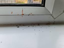 Any idea what this could be? It keeps coming back : rDIY