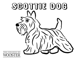 Dog coloring pages, scottish terrier coloring page featuring hundreds of canine breed coloring pages. Coloring Pages The College Of Wooster Alumni Association Facebook