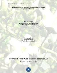 Image result for Cordia mukuensis