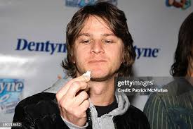 223 American Hi Fi Photos & High Res Pictures