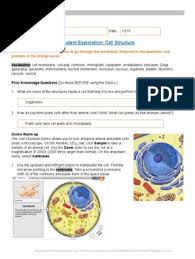 Use your summaries and the gizmo to answer the following questions: Cell Structure Gizmo Eukaryotes Biology