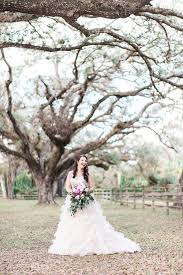 Photographer, john heder specializing in wedding, event, and portrait photography. Megan Joshua Arching Oaks Ranch Wedding Ashlee Nicole Photography Fort Myers Florida Wedding Photography Ranch Wedding Wedding Wedding Photography