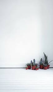 All You Need Are Plants Minimalist Wallpaper Minimalist Iphone Plants