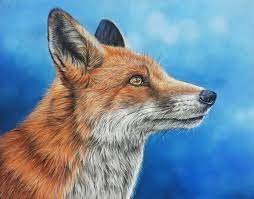 Original Pastellgemalde Pastell Zeichnung Tierbild Fuchs 24 X 30 Cm Krahe Tierbilder Pastellzeichnung