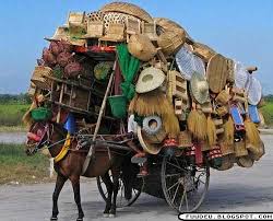 At this rate, how much water can the camel drink in 15 minutes? This Much Cooler Than The One Recently Posted Using Plastic Bags Horse And Buggy Horses Pull Cart
