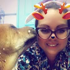 The Groom Room Pet City Bentley