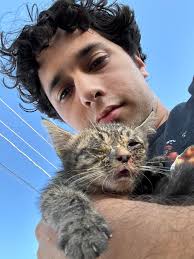 Found orange male cat in Tucson, AZ