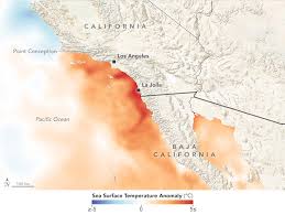 Record Warm Waters Off Southern California