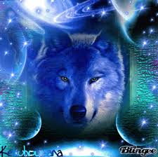 Browse millions of popular epic wallpapers and ringtones on zedge. Galaxy Wolf Shewolf Wolf Spirit Animal Wolf Dog Wolf Photos