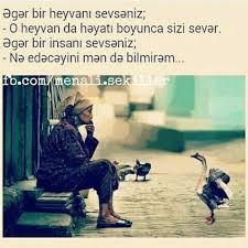 Mənalı Şəkillər