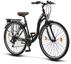 Damen und herrenhollandräder sehen mit ihrem nostalgischen design ausgesprochen chic aus und bieten einen sehr angenehmen fahrkomfort, die rede ist von. Hollandrad Test Empfehlungen 05 21 Fahrradbook