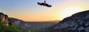 The mountainous area has scattered vineyards interspersed with chestnut crops and steep hillsides, a far cry from the carpet of grapevines found on the languedoc's coastal plain. Cevennes Biosphere Reserve France