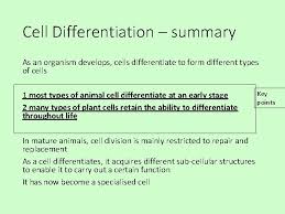 However, these two types of cells differ slightly with each other. Plant And Animal Cells Plant And Animal Cells