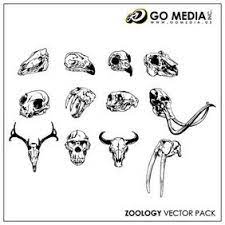 Download Free Animal Skull Clipart In Ai Svg Eps Or Psd