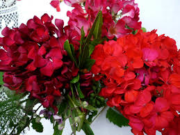 Quali sono i fiori bianchi da usare per la composizione di bouquet e quelli da coltivare in giardino. Centrotavola Blog Style By Tania Muser Tania Muser Floral Designer Tania Muser