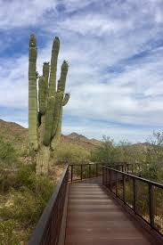 The preserve is visited approximately 750,000 times each year by people wishing to connect with nature and experience its 225 miles of recreational trails. Scottsdale S Mcdowell Sonoran Preserve Realtors Chris And Cheryl Park