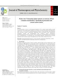 Image result for Lettowianthus stellatus