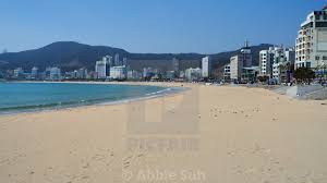 Busan beach at night 🌉lee family summer vacation! Busan Beaches Picfair