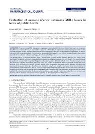 Pdf Evaluation Of Avocado Persea Americana Mill Leaves In Terms Of Public Health
