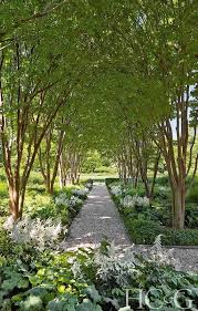 Pin On Garden Ideas