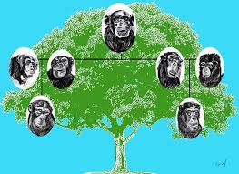 Fight over kin selection