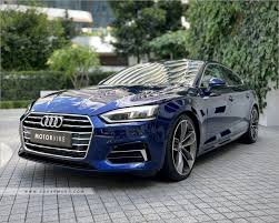 Image result for Navarra Blue 2019 A5