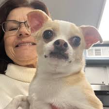 He's being trained to wear a mask so Marshall BioResources can charge more  money for him💔 Once he's sold to experimenters he'll be forced to inhale  toxic substances. This factory farm, nestled