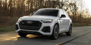 Image result for Florett Silver 2022 SQ5